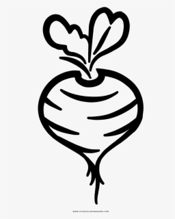 Beet Fruit Coloring Pages Fruit En Groenten Tekeningen Free