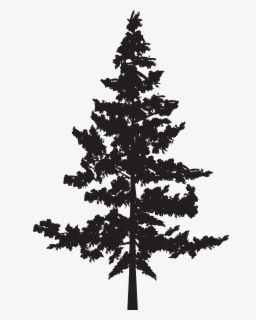 Download Free Pine Tree Silhouette Clip Art With No Background Clipartkey