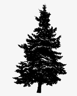 Pine Tree Clipart Black And White , Free Transparent Clipart - ClipartKey