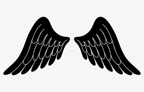 Black Wings Transparent Background Wings Png Free Transparent   10 107270 Angel Wing Clip Art Free Vector Of Angel 