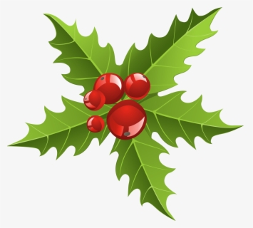 Free Christmas Holly Clip Art with No Background - ClipartKey