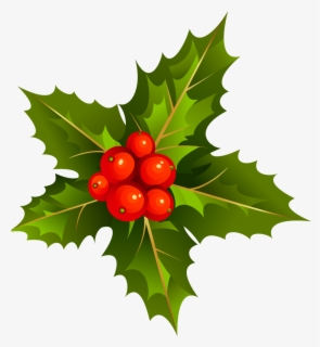 Christmas Holly Mistletoe Png - Transparent Background Holly Clipart ...