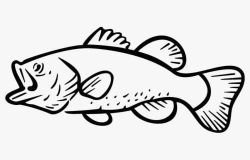 Download Bass Fishing Largemouth Bass Clip Art - Largemouth Bass Drawing Outline , Free Transparent ...