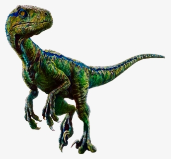 Blue Velociraptor - Blue Raptor , Free Transparent Clipart - ClipartKey