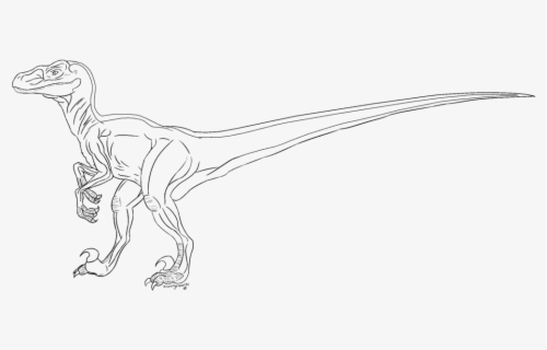 velociraptor pictures to colour