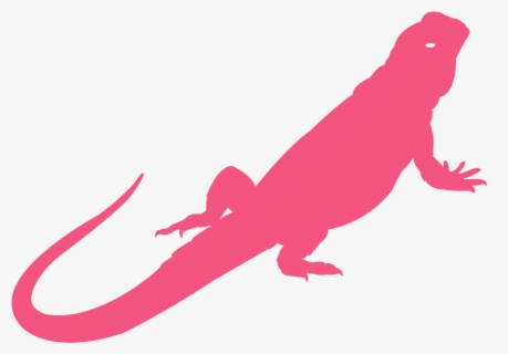 Download Transparent Bearded Dragon Png - Cute Bearded Dragon ...