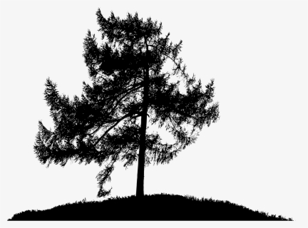 Download Free Pine Tree Silhouette Clip Art With No Background Clipartkey