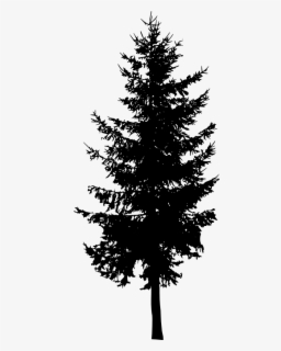 Download Free Pine Tree Silhouette Clip Art With No Background Clipartkey