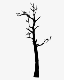 Dead Pine Tree Silhouette , Free Transparent Clipart - ClipartKey