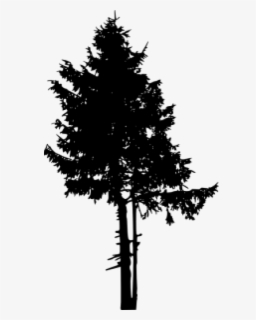 Treeline Trees Forest Silhouette Treesilhouette - Pine Tree Silhouette ...