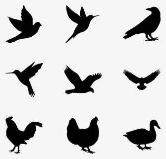 Free Bird Silhouette Vector At Getdrawings - Silhouette Bird Png Vector ...