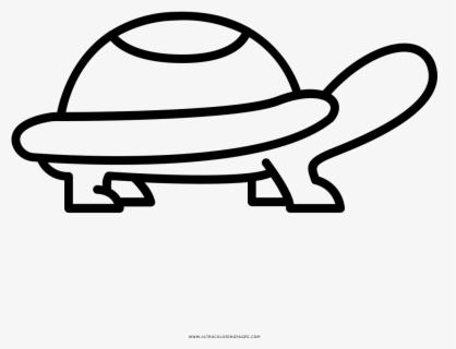 Tortoise Coloring Page With Ultra Pages - Drawing , Free Transparent ...