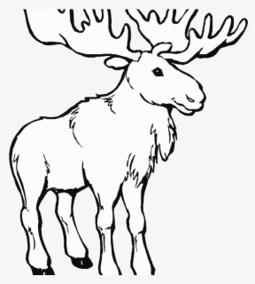 Free Elk Black And White Clip Art With No Background Clipartkey