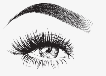 Clip Art Eyebrow Sketch - Microblading Eyebrows Png , Free Transparent