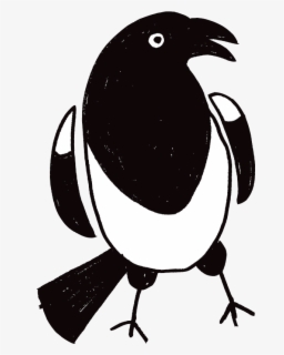 Talk For Writing Magpie , Free Transparent Clipart - ClipartKey