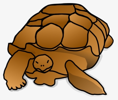 Turtle Summer Clip Art , Free Transparent Clipart - ClipartKey