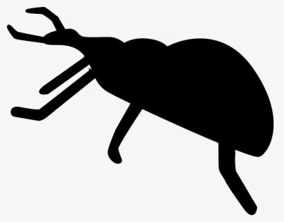 Cartoon Bugs , Free Transparent Clipart - ClipartKey