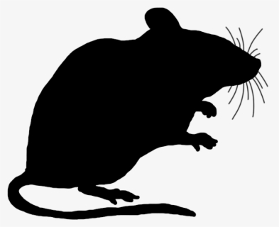 Collection Of No - Transparent Background Rat Clip Art , Free ...