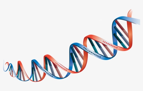 Free Dna Clip Art with No Background - ClipartKey