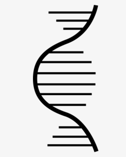 Dna Clipart Dna Molecule - Clip Art Molecular Biology , Free ...