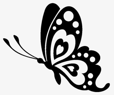 Download Butterfly Stencil Silhouette Drawing - Black And White ...