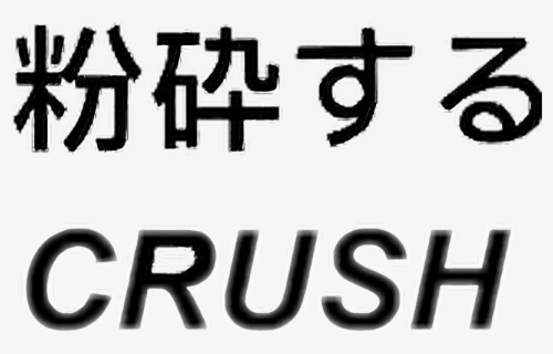 Crush Love Tumblr Aesthetic Grunge Japanese Lyrics Trash Can