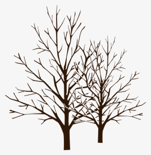 Free Winter Trees Clip Art With No Background Clipartkey 87,000+ vectors, stock photos & psd files. free winter trees clip art with no