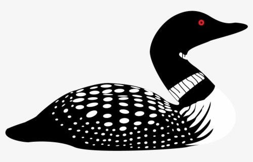 Loon Cartoon Vector Cartoon Loon Free Transparent Clipart Clipartkey