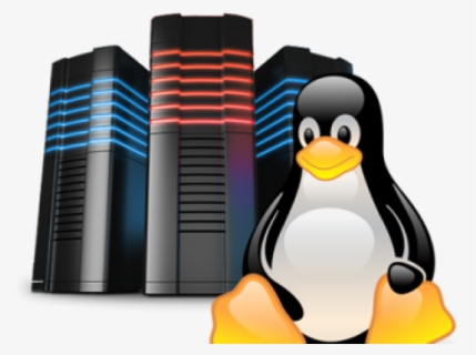 Linux Server - Linux Server Icon Png , Free Transparent Clipart ...