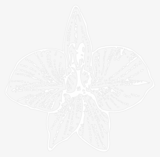 Free White Orchid Clip Art With No Background Clipartkey