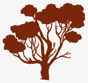 Eucalyptus Tree Clipart Library Download - Native Australian Trees Png ...