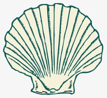 Free Shell Clip Art with No Background - ClipartKey