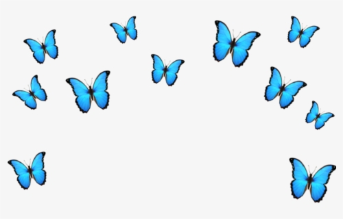 Featured image of post Transparent Blue Butterflies Png : All png images can be used for personal use unless stated otherwise.