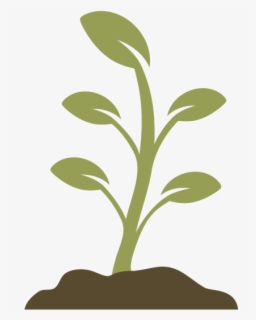 Sustainability - Plant Png Black And White , Free Transparent Clipart ...