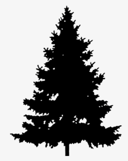 Download Free Pine Tree Silhouette Clip Art With No Background Clipartkey