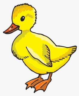 Duckling Clipart Follow Me - Clipart Duck , Free Transparent Clipart ...