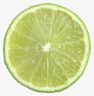 transparent lemon clipart png green lemon slice png free transparent clipart clipartkey transparent lemon clipart png green