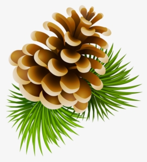 Free Pine Cone Clip Art with No Background - ClipartKey