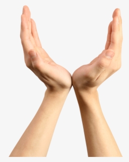 Png Anime Hand : Transparent Anime Hand Png Transparent 1080x1080 Anime