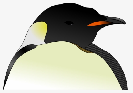 Cabeza De Pinguino Png Free Transparent Clipart Clipartkey