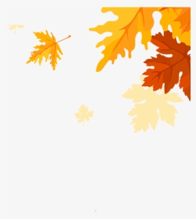 Maple Leaves Falling Png Download - Maple Leaf , Free Transparent ...