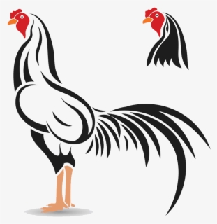 Gallo De Pelea Png Free Transparent Clipart Clipartkey