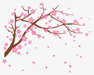 Drawing Cherry Blossom Tree