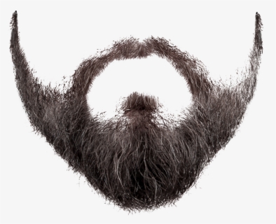 Beard Clipart Wizard Beard Icon Moustache Free Transparent