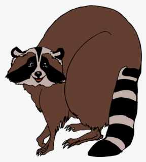 Fat Raccoon Invisible Background Free Raccoon Clip Art with No Background - ClipartKey