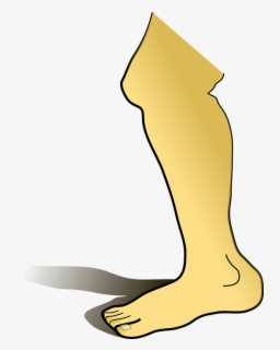 Anatomy Clip Art Foot - Leg Clipart , Free Transparent Clipart - ClipartKey