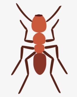 Spider Clipart Ant - Ant Template , Free Transparent Clipart - ClipartKey