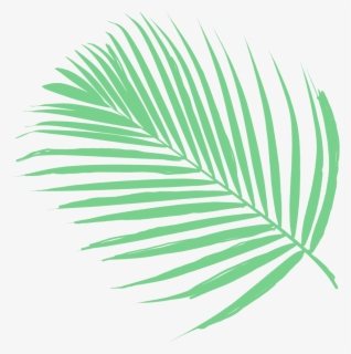Featured image of post Green Leaves Transparent Background Leaf Aesthetic Png / If you&#039;re thinking of using leaf png on a website, i suggest you reduce the size first.
