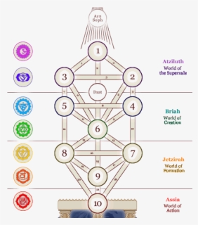 Transparent Tree Of Life With Roots Clipart - Family Tree With Roots ...