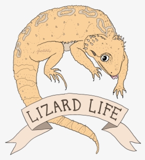 Free Bearded Dragon Clip Art with No Background - ClipartKey